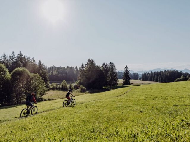 Radregion Allgäu wird immer beliebter
