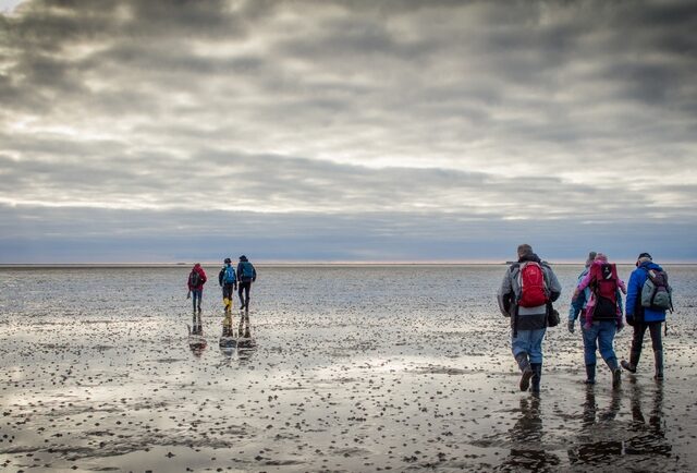 Einmal durchpusten, bitte! Winterausklang auf der Nordseeinsel Föhr