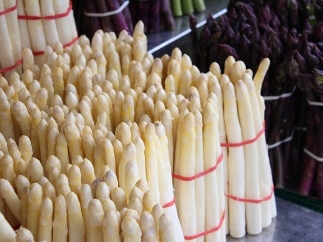 19 500 Tonnen Spargel wurden 2022 importiert – knapp 29 % weniger als im Vorjahr