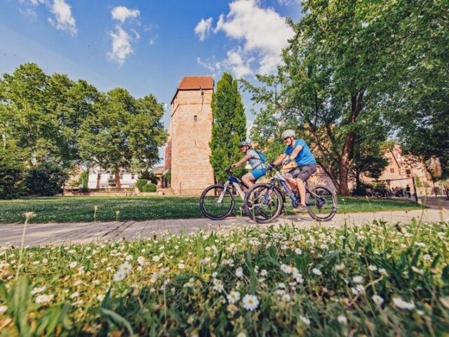 Auf zwei Rädern den Odenwald entdecken