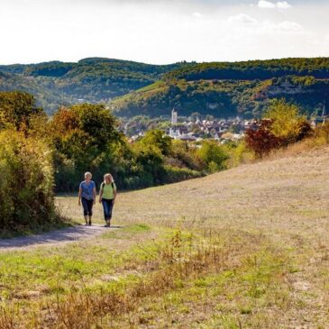 Sportlicher Spessart: Die besten Tipps für einen Aktivurlaub im idyllischen Karlstadt am Main