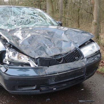 Totalschaden: Holzerntemaschine kracht gegen Skoda