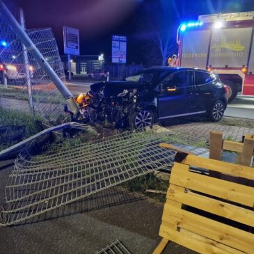Autofahrer fährt gegen Zaun