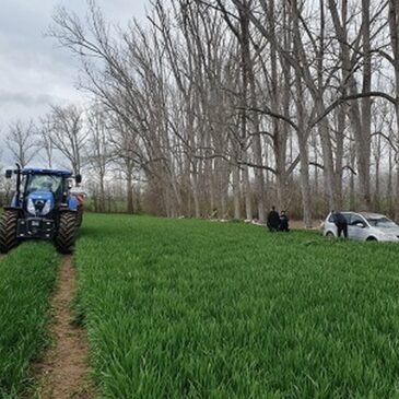 Verwirrter Autofahrer landet im Acker