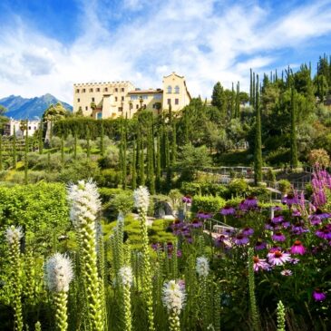 Blütenpracht und mediterranes Klima, das ist Meran im Frühling