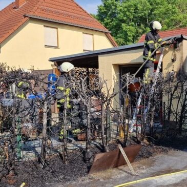 Polizeirevier Harz: Aktuelle Polizeimeldungen