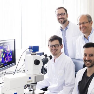 Magdeburger Forscher entdecken neuen Mechanismus der Krebsimmunabwehr