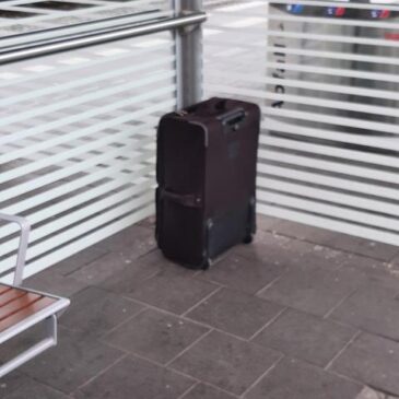 Vergessener Koffer führt zu Polizeieinsatz mit Sprengstoffspürhund Yukon am Magdeburger Hauptbahnhof