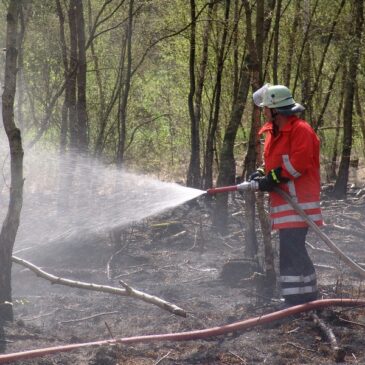 Nach Waldbränden: Deutscher Feuerwehrverband fordert Kampfmittelräumung auf früheren Truppenübungsplätzen