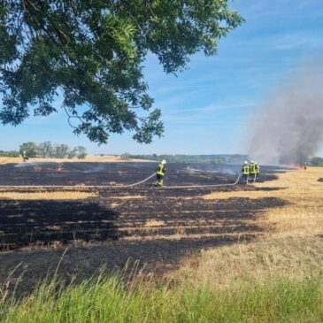 Feuerwehr im Einsatz: Vegetationsbrände im Landkreis Harz