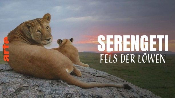 Doku-Drama: Serengeti – Wilde Geschichten aus der Savanne (1) (Arte  20:15 – 20:55 Uhr)