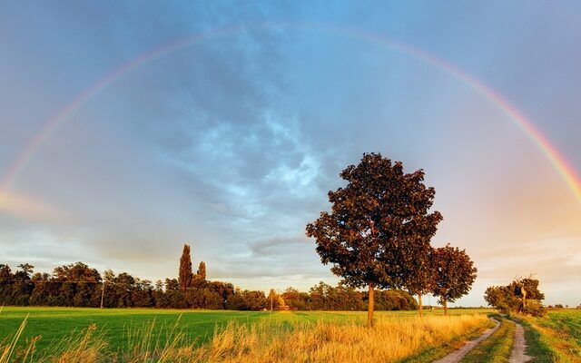 Ist der Sommer so schlecht, wie er sich anfühlt? – Eine Zwischenbilanz