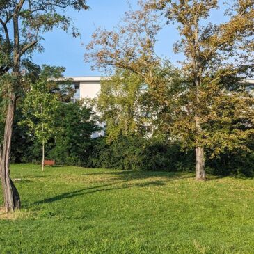 Hundeauslaufwiese am Askanischen Platz wird mit Zaun ausgestattet / Eigenbetrieb investiert 33.400 Euro