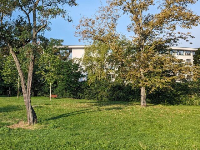 Hundeauslaufwiese am Askanischen Platz wird mit Zaun ausgestattet / Eigenbetrieb investiert 33.400 Euro