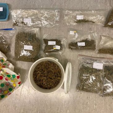 Polizei stellt kiloweise Cannabis sicher