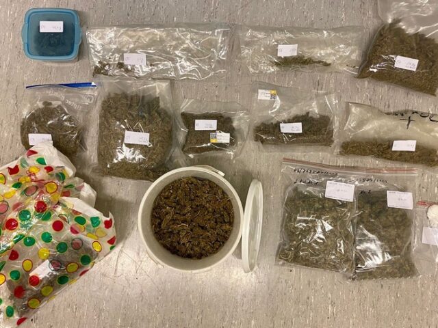 Polizei stellt kiloweise Cannabis sicher