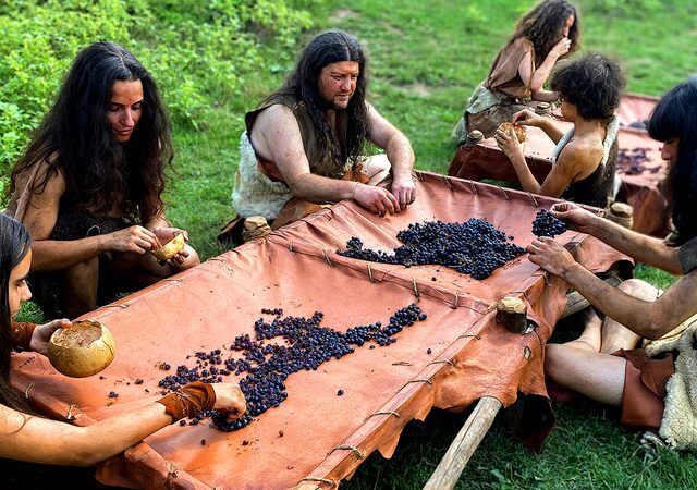 Terra X: Wein – Eine Geschichte durch Jahrtausende (ZDF  19:30 – 20:15 Uhr)