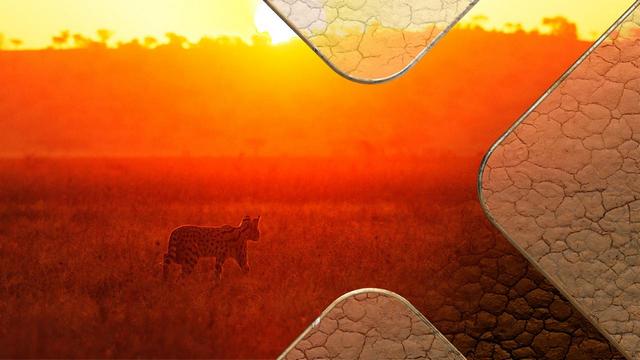 Serengeti – Wilde Geschichten aus der Savanne: Sengende Hitze (ZDF  19:25 – 20:15 Uhr)