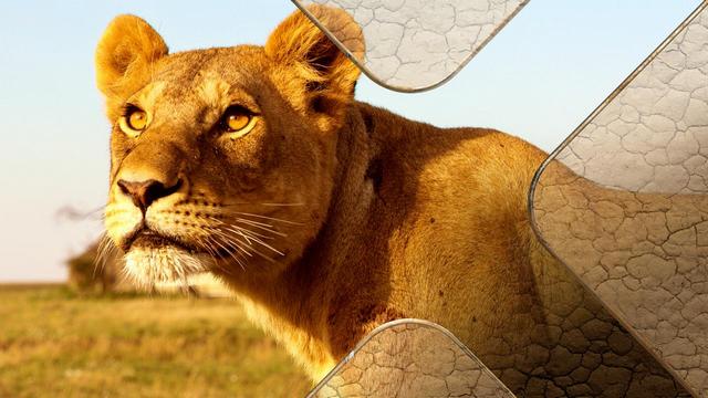 Serengeti – Wilde Geschichten aus der Savanne: Wiedererwachen (ZDF  19:25 – 20:15 Uhr)