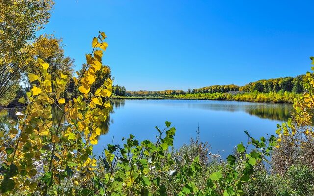Blauer Himmel, Morgentau und sanftes Licht – Der September zeigt sich von seiner malerischen Seite