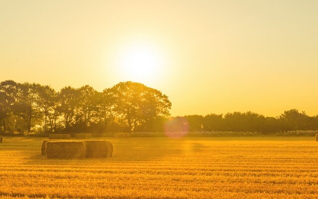 September bisher wĂ€rmer als Juli und August – AuĂergewöhnlich lange SpĂ€tsommerphase