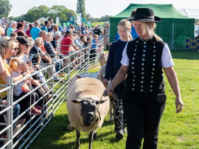 Erfolgreicher Abschluss für 28. Landeserntedankfest