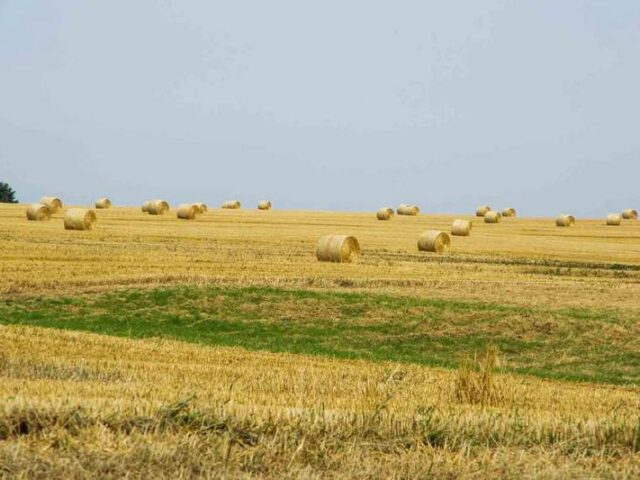 Rekord-Monat: Wärmster und zweitsonnigster September seit Messbeginn – Deutschlandwetter im September 2023