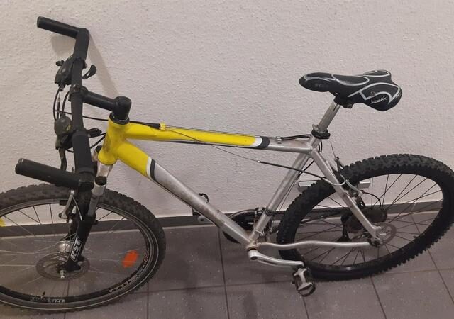 Bundespolizisten agieren blitzschnell und stellen Fahrraddieb am Hauptbahnhof Halle