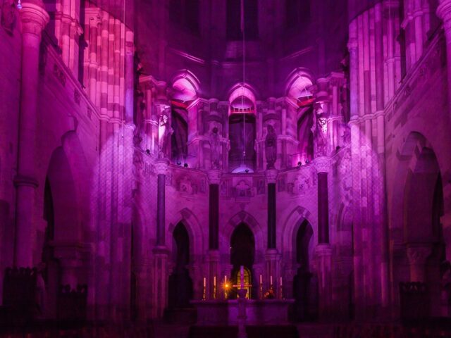 Lange Orgelnacht mit drei Organisten und atmosphärischem Licht und Weingenuss im Magdeburger Dom und Domgarten