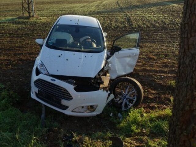 Polizeirevier Bördekreis: Aktuelle Polizeimeldungen