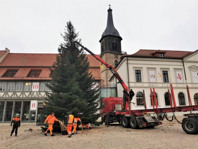 Alle Jahre wieder … Weihnachtsbaum für Haldensleben gesucht!