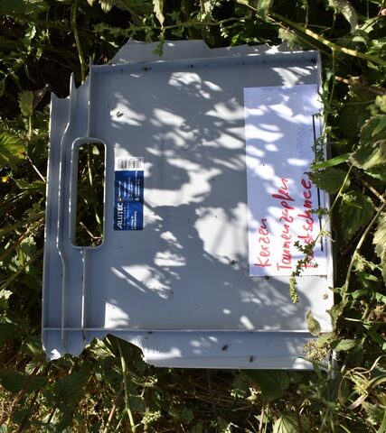 Polizeirevier Harz: Aktuelle Polizeimeldungen