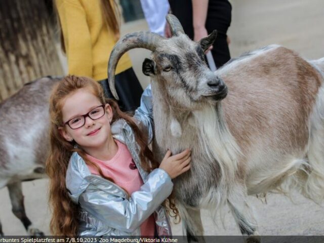 Das Kunterbunte Spielplatzfest im Zoo am 7./8. Oktober 2023 : Die Eisschwestern und Shaun-das Schaf kommen