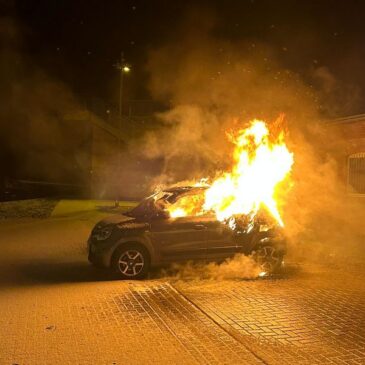 Polizeirevier Harz: Aktuelle Polizeimeldungen