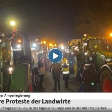 tagesschau in 100 Sekunden