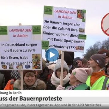 tagesschau in 100 Sekunden