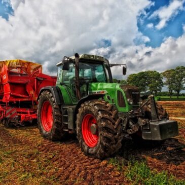 Rund 7 800 landwirtschaftliche Betriebe weniger seit dem Jahr 2020