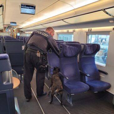 Hauptbahnhof Magdeburg: Im Zug vergessener Koffer führt zu Polizeieinsatz