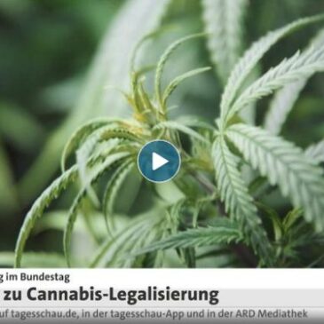 tagesschau in 100 Sekunden