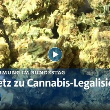 tagesschau in 100 Sekunden