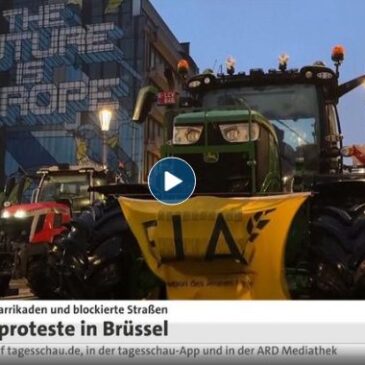 tagesschau in 100 Sekunden