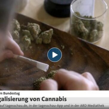 tagesschau in 100 Sekunden