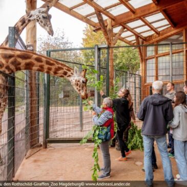 Preisanstieg Energie/Futtermittel: Zoo hebt Ticketpreise ab März an