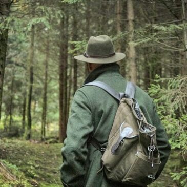 Sachsen-Anhalts Forstministerium fordert vermehrten Abschuss von Wild, Landesjagdverband widerspricht