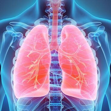 Forschende aus Hannover und Magdeburg entdecken Ursache für seltene angeborene Lungenfehlbildungen