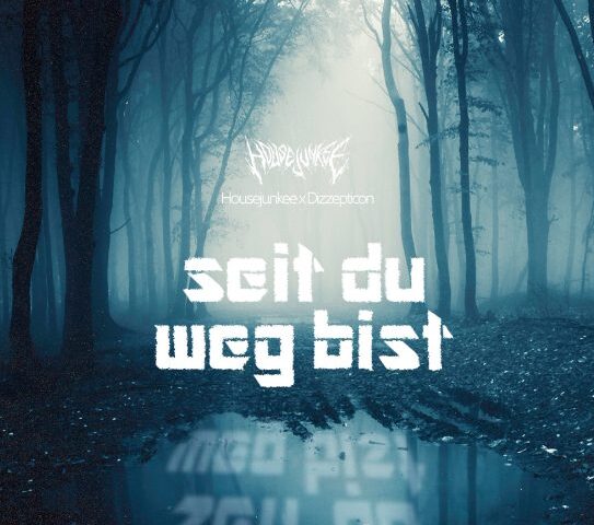 Housejunkee x Dizzepticon veröffentlichen neue Single “Seit Du weg bist”