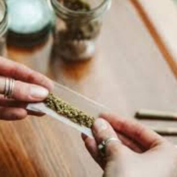 Zahl der Cannabis-Süchtigen gestiegen