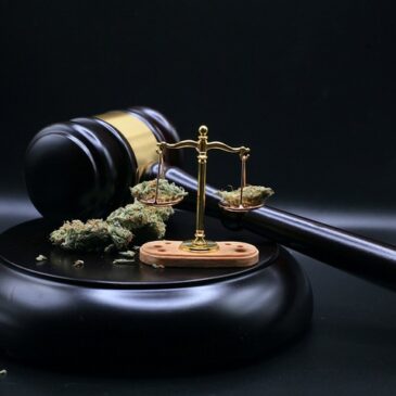 Teil-Legalisierung überrumpelt Behörden: Kontrolle des Cannabis-Gesetzes in Sachsen-Anhalt ungeklärt