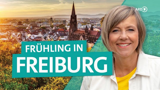 Wunderschön: Freiburg – So lohnt sich die Städtereise nach Baden-Württemberg