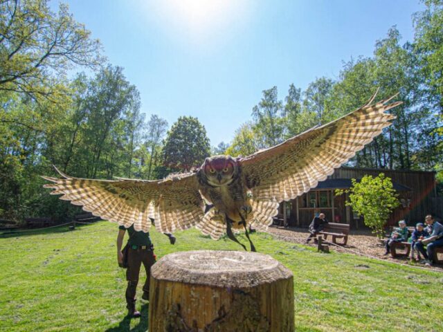Die Falkner kommen in den Zoo vom 21.05.-24.05.2024